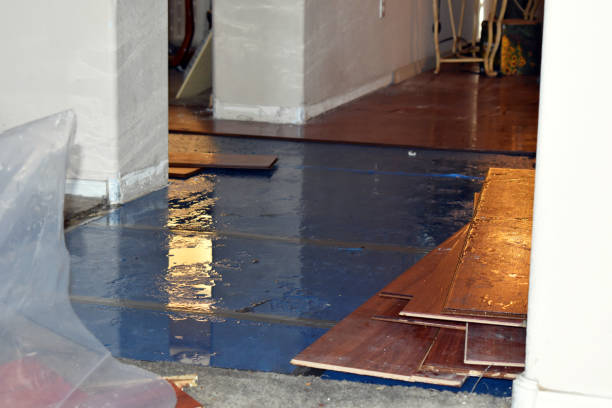 Professional Water Damage Repair technician working in Lane City, TX